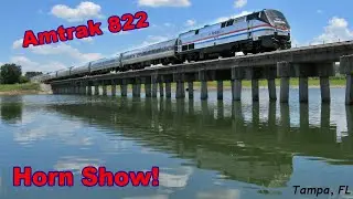 Amtrak 822 Horn Show on Bridge!