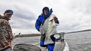 Catching HUGE CRAPPIE On WATTS BAR Lake!! Prespawn SLABS!