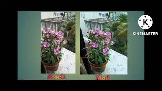 Pixel 4xl Stock Vs Mod Gcam Comparison...🥰👌