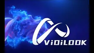 VIDILOOK - Part 18 - (5/30/23) - VidiLOOK Buyback Q&A with Sam Lee
