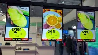 blueshell.shop Ceiling Mounted Display Price Tag Digital Signage Android Dual Side ODM Factory B2B