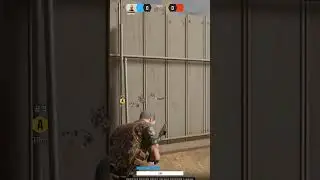 Shotgun Test | Veiled Experts