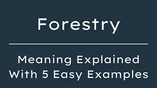What Does Forestry Mean? Forestry Meaning in English With 5 Example Sentences