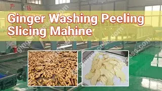 Automatic Ginger Washing Slicing Dryer Machine