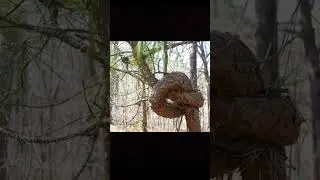 part 9 #trending #viral #youtube #shorts