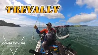 TREVALLY AT WEST COAST AUCKLAND