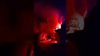 Griezelkopjes (Teacups) at Europa Park Halloween - 2022