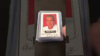 Best Funny Names Sports Card Collection Ever