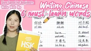 Write the Must Learn Words in Chinese⎮For Beginners #handwriting #chinesecharacters #hsk