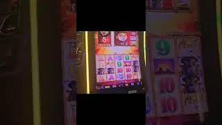 Gimme da Gaaames🤣🤣🤑 #casino #slotmachine #jackpot #gambling #casinofun #slotcommunity #casino
