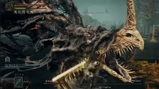 ELDEN RING DLC 霊炎竜 初撃破 ソロ Lv20 ツヴァイヘンダー+3