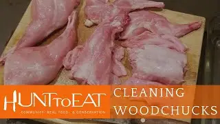 How to Butcher and Remove Scent Glands from a Groundhog