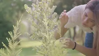 Blossoming Biodiversity: The Power of Diverse Flowers in Permaculture