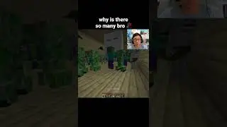 Minecraft Mobs Moment