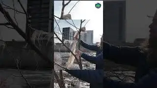 Превращение мусора в 