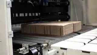 Eterna Pe 1620 Flatbed die cutting with Breakers - Edf Europe