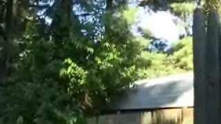 Top Secret Garden Tip (preppers and serious gardeners only)