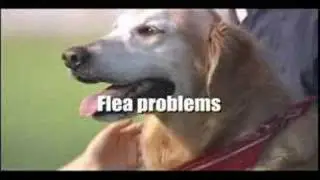 K9rx