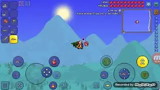Terraria  die suche nach der lebensfrucht #2
