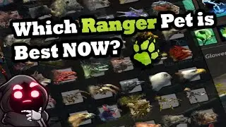 Which Ranger Pet is Best NOW? - Guild Wars 2