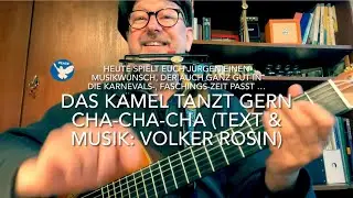 Das Kamel tanzt gern Cha-Cha-Cha (Text & Musik: Volker Rosin) gespielt und gesungen v. Jürgen Fastje