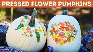 Pressed Flower Pumpkins