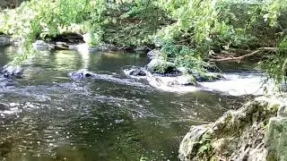 Fliessendes Wasser im Bodetal 2019