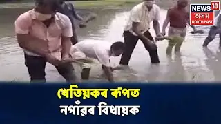 Nagaonৰ বিধায়ক নামিল পথাৰত, কৃষকৰ ৰূপত Rupak Sarmah