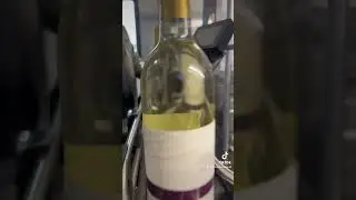 Aurora Cellars 2022 Auxerrois Bottling