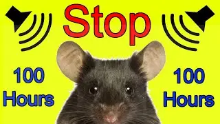100 часов ультразвукового репеллента для мышей 100 часов шума от насекомых Крысы