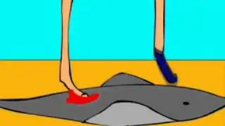 How to Protect Yourself from Stingrays