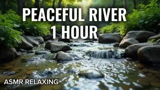 ASMR Relaxing River Sounds | Peacefull Forest Nature | Nature Relaxing #asmr #sleep #relaxing 