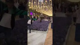 yanbu flower festival 2024| Tamil group in Yanbu |Rabigh