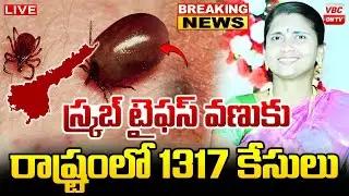 ఏపీలో స్క్రబ్ టైఫస్ వణుకు | New Insect-Borne Disease Alarms Andhra Pradesh | Breaking News Live