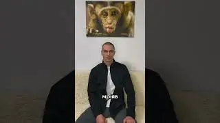 файтбол бокс лучший тренажёр для бокса на реакцию эспандер рефлекс бол боевой мяч fight ball reflex