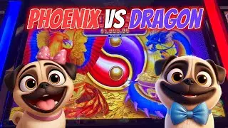 FREE GAMES! Fortune Harmony Phoenix & Dragon Slot Machine | Gambling Pugs