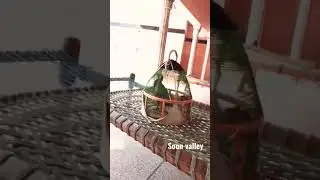 kala teter beautiful voice  soon valley local bird #Viral #ExploringNature