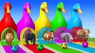 #longslidegame #funny3danimals #cartoon #video #elephant long Slide Game videos game cow Gorilla