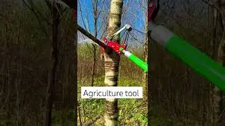 agriculture sheers for plant to easy to remove excess leaves #agriculturaltool