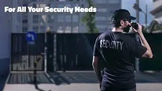 Professional Security Services