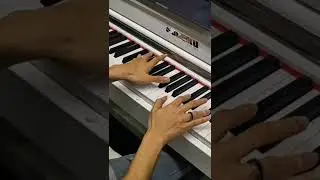 ✨ Exam-Ready256-note polyphony + high-sensitivity keys = authentic grand piano feel.