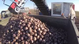Beet and carrot harvesters - ASA-LIFT