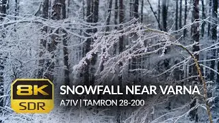 Serene Snowfall near Varna with Calming Music in 8K