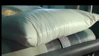Customized Agricultural Construction Recyclable Leak Proof Chemical Food Woven Bag Production