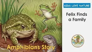 Felix Finds a Family: The Story of the Amphibian Animals for Kids, Who are Called Amphibian Animals?