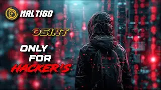 Hackers Must Watch | Maltego Tool | OSINT