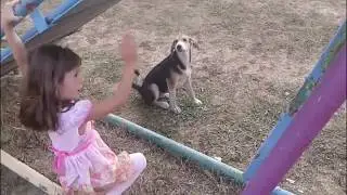 Reservoir Dogs VS Street Children | Бешеные псы против беспризорных детей FUN