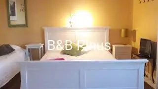 Daily work at B&B Pinus