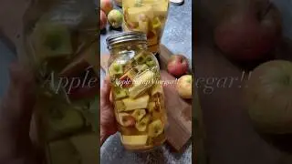 Make Apple scrap vinegar with apple cores and peels! (Recipe in description) #applescrapvinegar