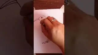 How to draw Crow/Crow drawing #drawing #short